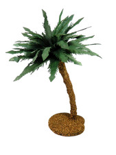 Palma Cm 10x11x35h - Oasi