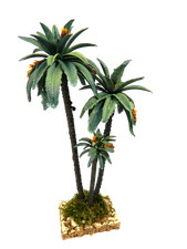 Palma Tripla Cm 12/19/23 -