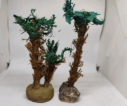 Palme per presepe - per,