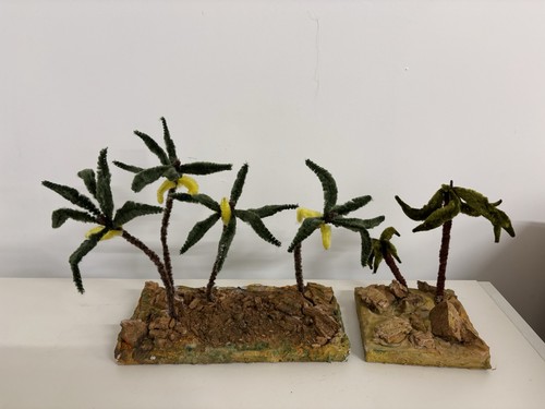 Composizioni con palme per - con,