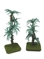 Palma Cm 16/20h - Misura a