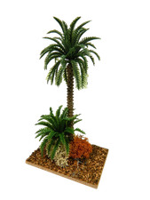 Palma Doppia Cm 13 - Oasi