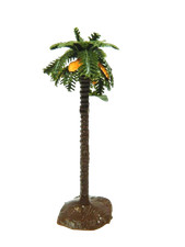 Palma Cm 12 - Oasi Deserto