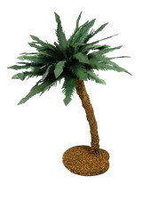 Palma Cm 10x10x25h - Oasi